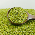 Prime qualidade Green Mung Beans para brotar, máquina limpa